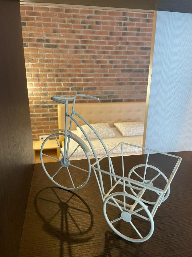 Select Center Apartament